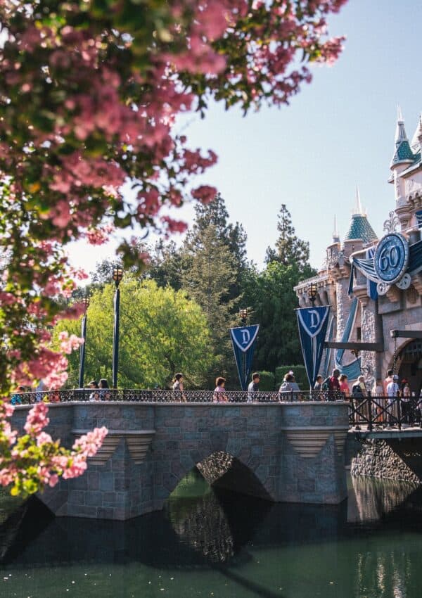 Top 10 Attractions for Your First Trip to Disneyland
