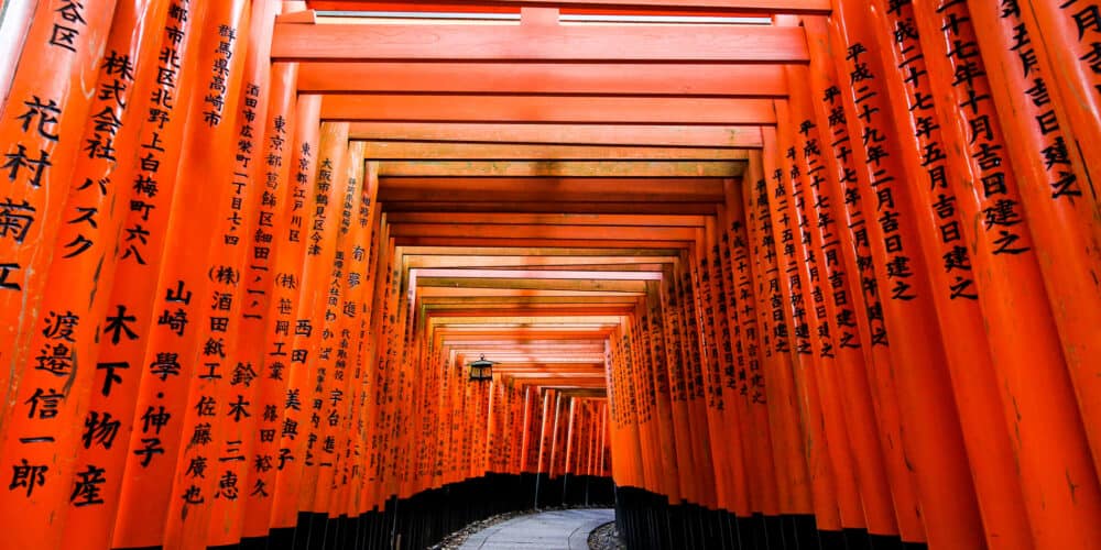 Many red torii gates covering a pathway. Black japanese characters are written on the sides of each gate