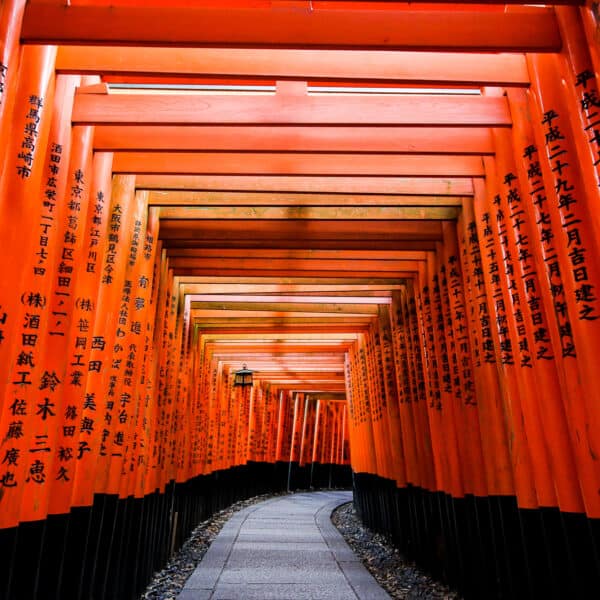 Many red torii gates covering a pathway. Black japanese characters are written on the sides of each gate