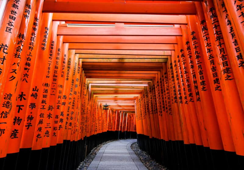 Many red torii gates covering a pathway. Black japanese characters are written on the sides of each gate