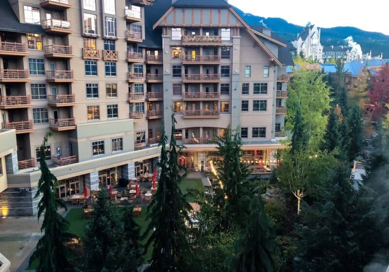 Hotel courtyard with trees