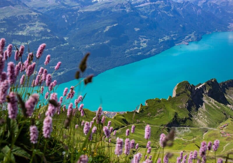 Turquoise blue Lake Brienz from above surrounded by mountains