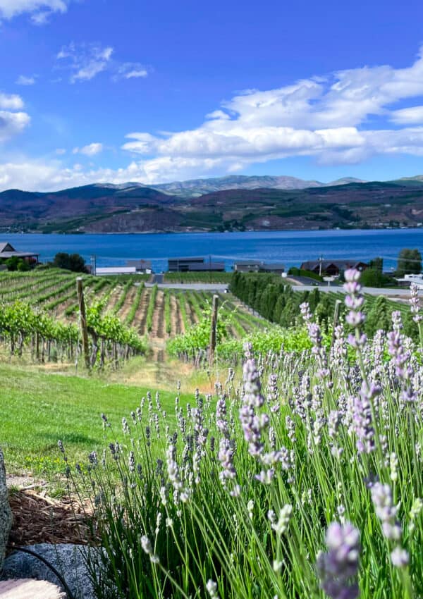 Lake Chelan Wineries: 6 great wineries in Chelan